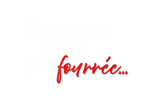 Titre du roman Il n'y a pas que la dinde qui est fourrée, écrit en lettres blanches et rouges.